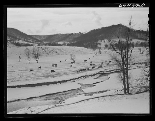 La Crosse, Wisconsin (vicinity). Dairy farm