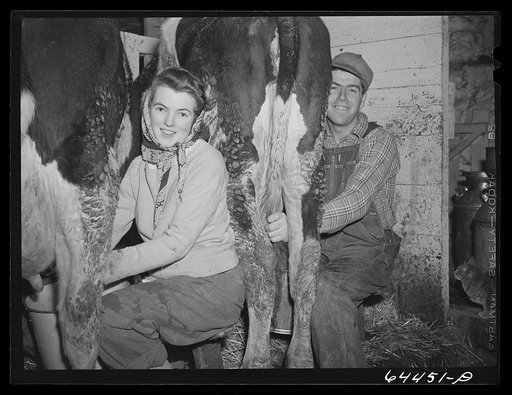 Meeker County, Minnesota. Pat McRaith and one of his nieces milking. He is milking seventeen cows this winter on 160 acre farm