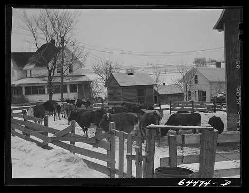 Viroqua, Wisconsin (vicinity). Dairy farm