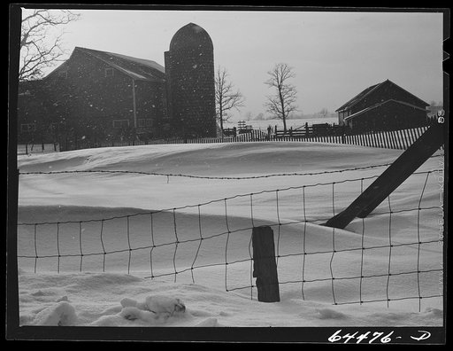 Dane County, Wisconsin. Dairy farm