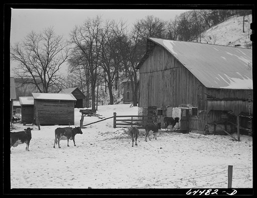 Richland County, Wisconsin. Dairy farm