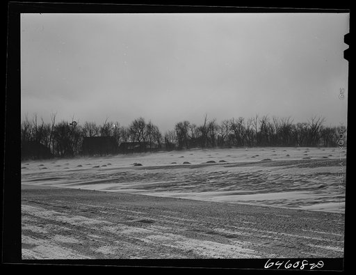 McLeod County, Minnesota. Snow blowing and drifting around a farm with a shelter belt