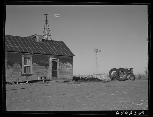 Clark County, South Dakota. Wheat farm
