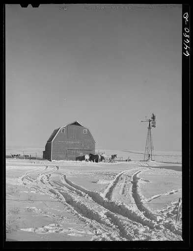 Hettinger County, North Dakota. Farmyard