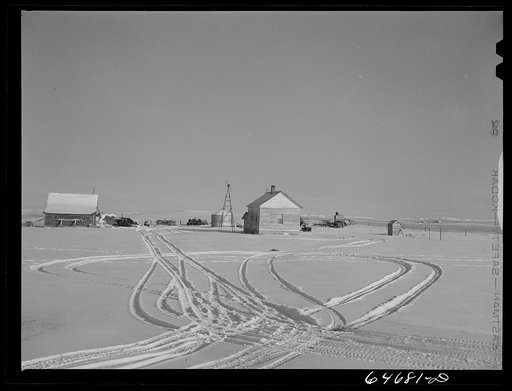 Hettinger County, North Dakota. Farmyard