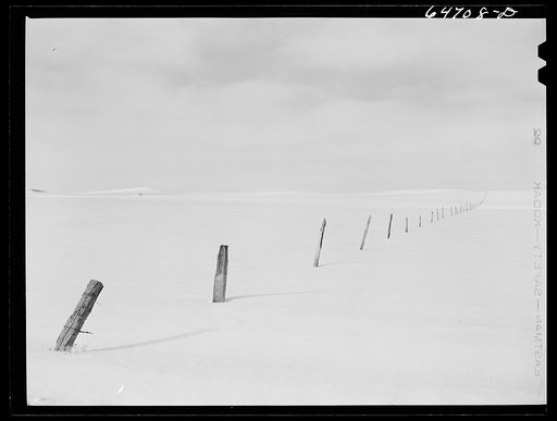 Stark County, North Dakota. Barbed wire fence poles