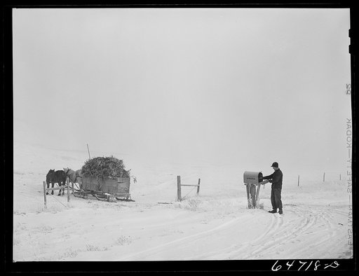 Morton County, North Dakota. Farmer hauling feed stopping for his morning mail