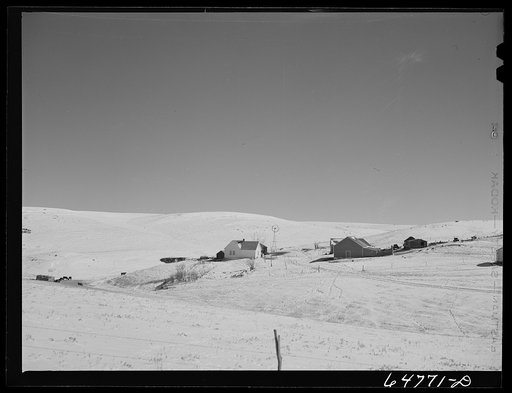 Oliver County, North Dakota. Stock farm