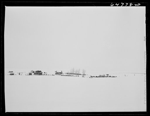 Stark County, North Dakota. Stock farm