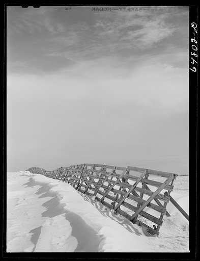 Divide County, North Dakota. Snow fence