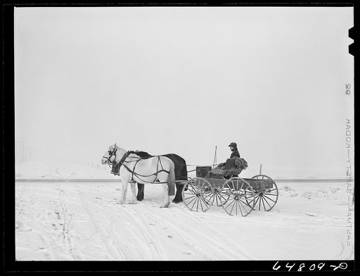 Morton County, North Dakota. Farm boy going after mail