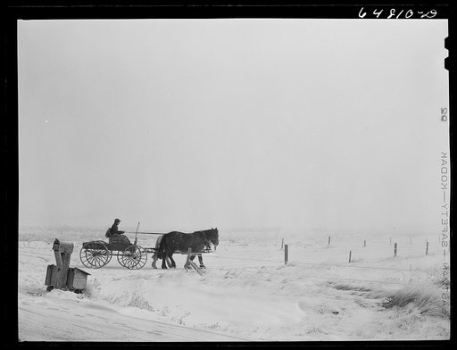 Morton County, North Dakota. Farm boy bring home the morning mail