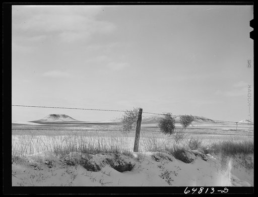 Adams County, North Dakota. Barbed wire, buttes and tumbleweed