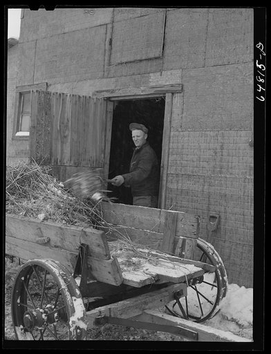 Untitled photo, possibly related to: Adams County, North Dakota. Tom Eneberg, FSA (Farm Security Administration) borrower