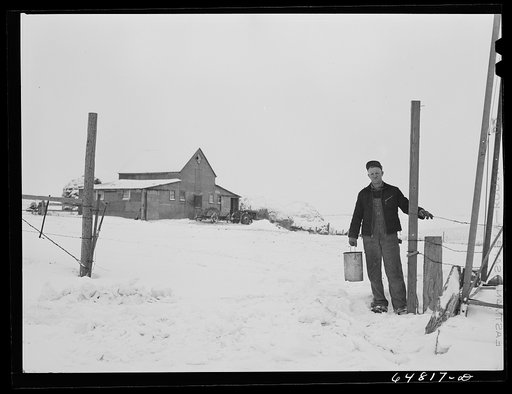 Adams County, North Dakota. Tom Eneberg, FSA (Farm Security Administration) borrower