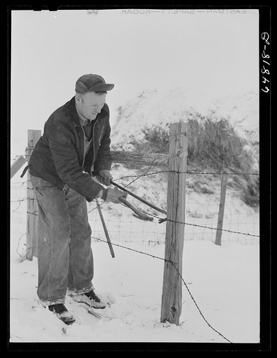 Untitled photo, possibly related to: Adams County, North Dakota. Tom Eneberg, FSA (Farm Security Administration) borrower