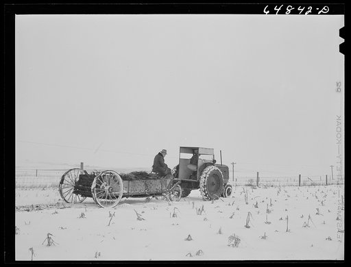 Untitled photo, possibly related to: Adams County, North Dakota. Stock farmer, George P. Moeller, spreading manure on his cornfield