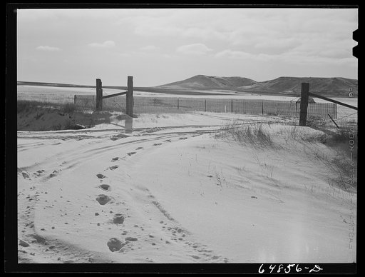 Adams County, North Dakota