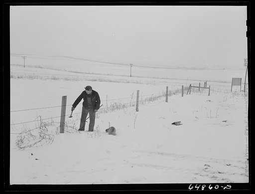 Adams County, North Dakota. Repairing fence