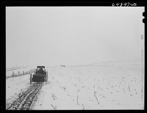 Adams County, North Dakota. Stock farmer George P. Moeller spreading manure in his cornfield