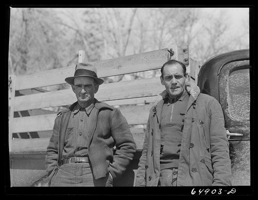 Madison County, Montana. Cowhands, who ride the range in the summer, feed cattle in the winter