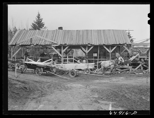 Kalispell, Montana. Flathead Valley special area project cooperative sawmill is operated by FSA (Farm Security Administration) borrowers. Wages for employment here is received in lumber for building repairs on houses and builidings