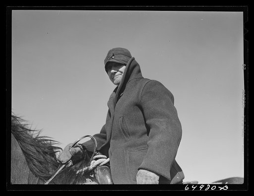 Untitled photo, possibly related to: McCone County, Montana. W.G. George, horse raiser