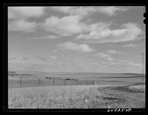 McCone County, Montana. Dry land farm