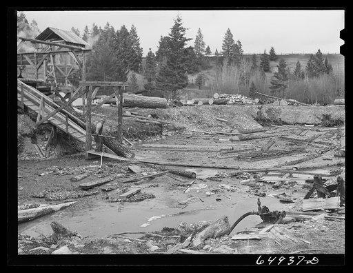 Untitled photo, possibly related to: Kalispell, Montana. Rolling logs into the pond at FSA (Farm Security Administration) cooperative sawmill