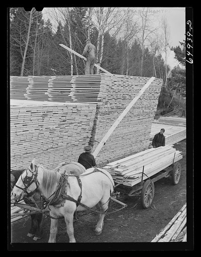 Flathead Valley special area project, Montana. Stacking board lumber at the cooperative sawmill. This mill is operated by FSA (Farm Security Administration) borrowers, most of whom have moved to Flathead County in recent years from the drought area of eastern Montana and the Dakotas