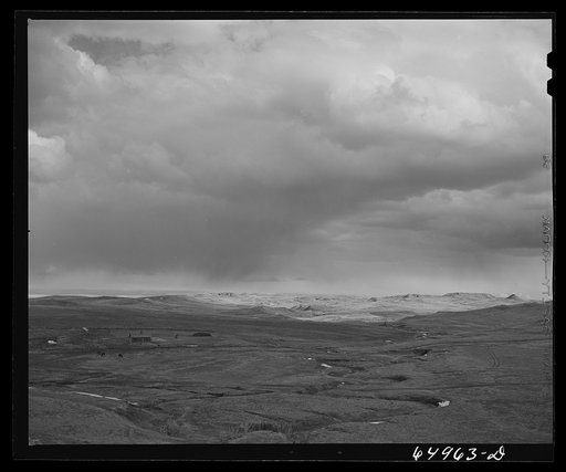 Garfield County, Montana. Sheep grazing land
