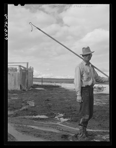 Untitled photo, possibly related to: Garfield County, Montana. Charles McKenzie, sheep rancher. He runs one hundred head