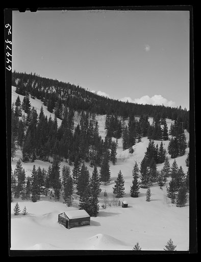 Silver Bow County, Montana. Abandoned shack in the mountains