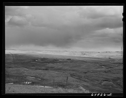 Untitled photo, possibly related to: Garfield County, Montana. Sheep grazing land