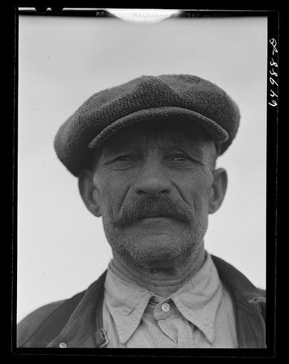 Untitled photo, possibly related to: McCone County, Montana. Russian-born homesteader and dry land farmer