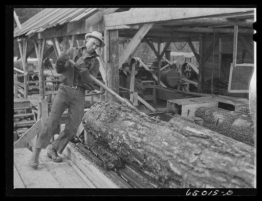 Untitled photo, possibly related to: Kalispell, Montana. Rolling logs into the pond at FSA (Farm Security Administration) cooperative sawmill