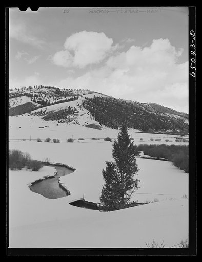 Granite County, Montana. Melting snow
