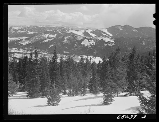 Lewis and Clark County, Montana. Helena National Forest
