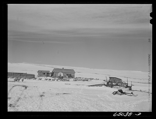 Park County, Montana. Sheep ranch