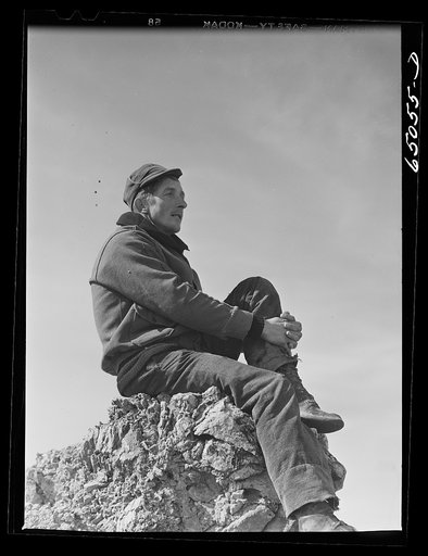 McCone County, Montana. Sheepherder watching his flock