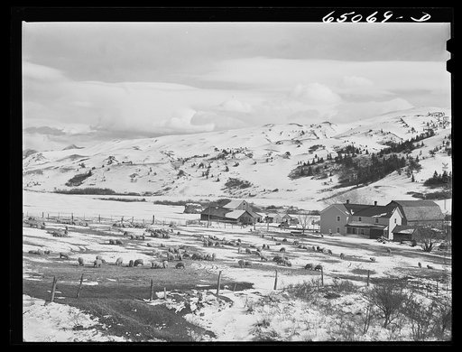 Park County, Montana. Sheep ranch