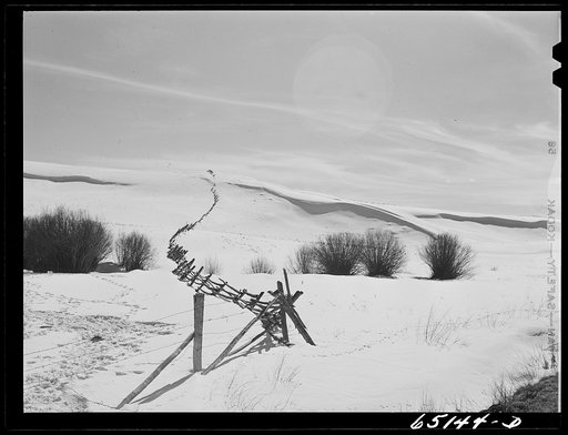 Beaverhead County, Montana. Rail fence