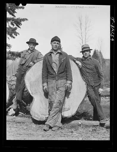 Kalispell, Montana. Workers at FSA (Farm Security Administration) cooperative sawmill