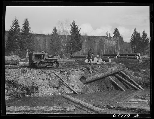 Kalispell, Montana. Rolling logs into the pond at FSA (Farm Security Administration) cooperative sawmill