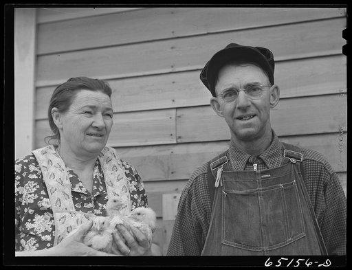 Flathead Valley special area project, Montana. Mr. and Mrs. Albert Ward. They came here from Missouri