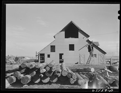 Flathead Valley special area project, Montana. Milton Stiles, FSA (Farm Security Administration) borrower, building a barn