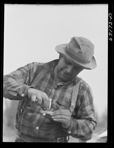 Flathead Valley special area project, Montana. Farmer