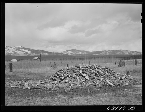 Flathead Valley special area project, Montana. Land clearing on Ed Line's farm