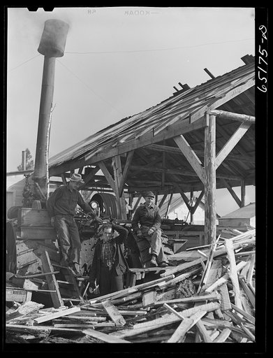 Kalispell, Montana. March 1942. Flathead Valley special area project. Cooperative sawmill is operated by FSA (Farm Security Administration) borrowers. Wages for employmen here are received in lumber for building repairs on houses and buildings