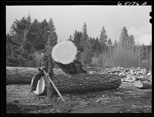 Untitled photo, possibly related to: Kalispell, Montana. Flathead valley special area project. Sawmill worker at FSA (Farm Security Administration) cooperative sawmill